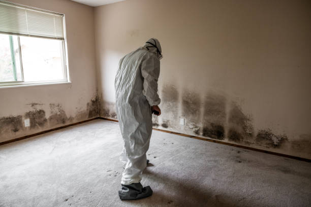 Forensic Mold Investigation in San Francisco, CA